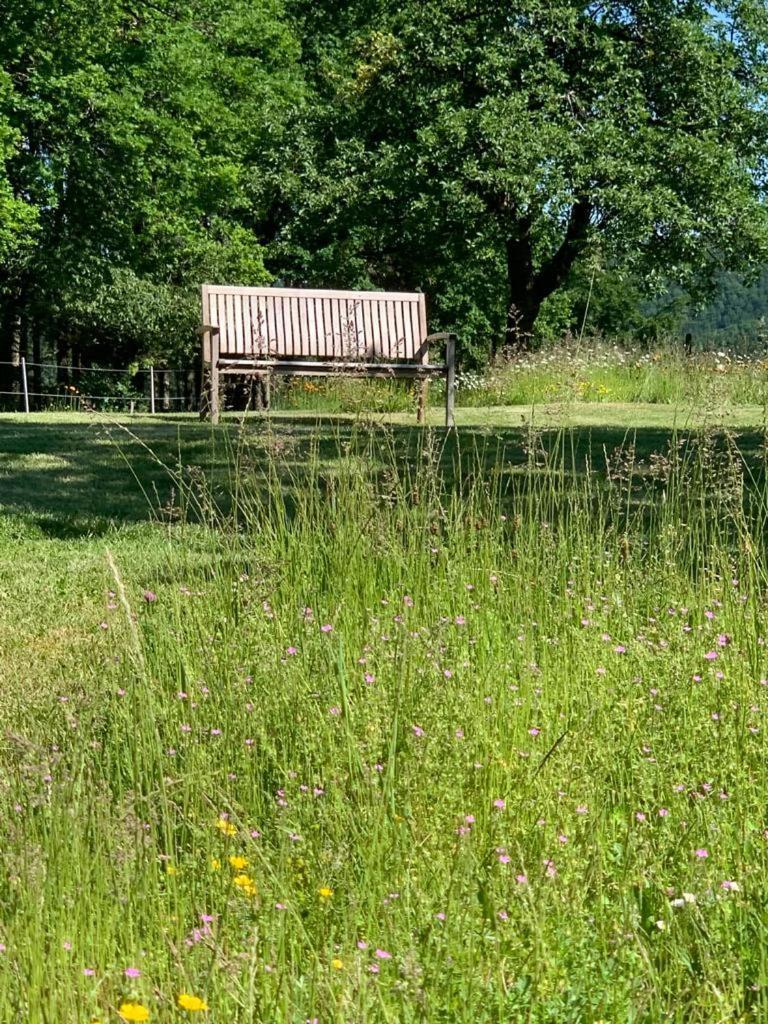 Urlaub Mit Hund Auf Dem Bauernhof Hofswald Apartment Euscheid Bagian luar foto