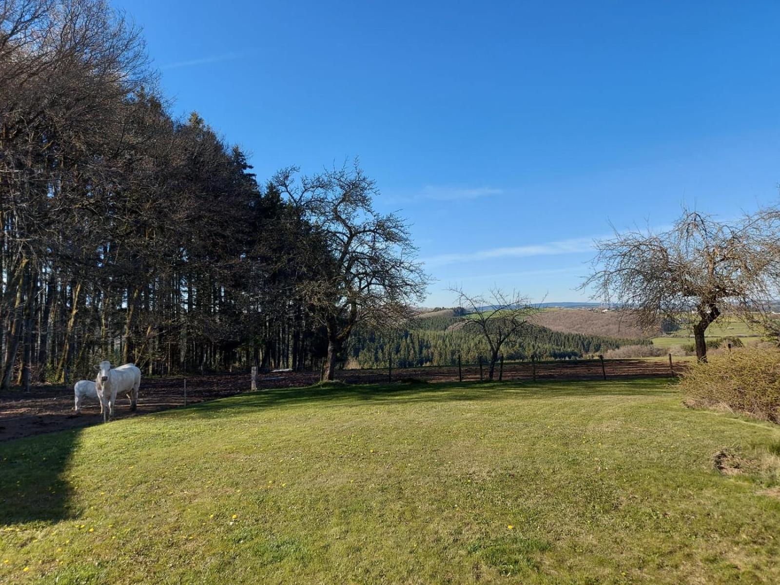 Urlaub Mit Hund Auf Dem Bauernhof Hofswald Apartment Euscheid Bagian luar foto